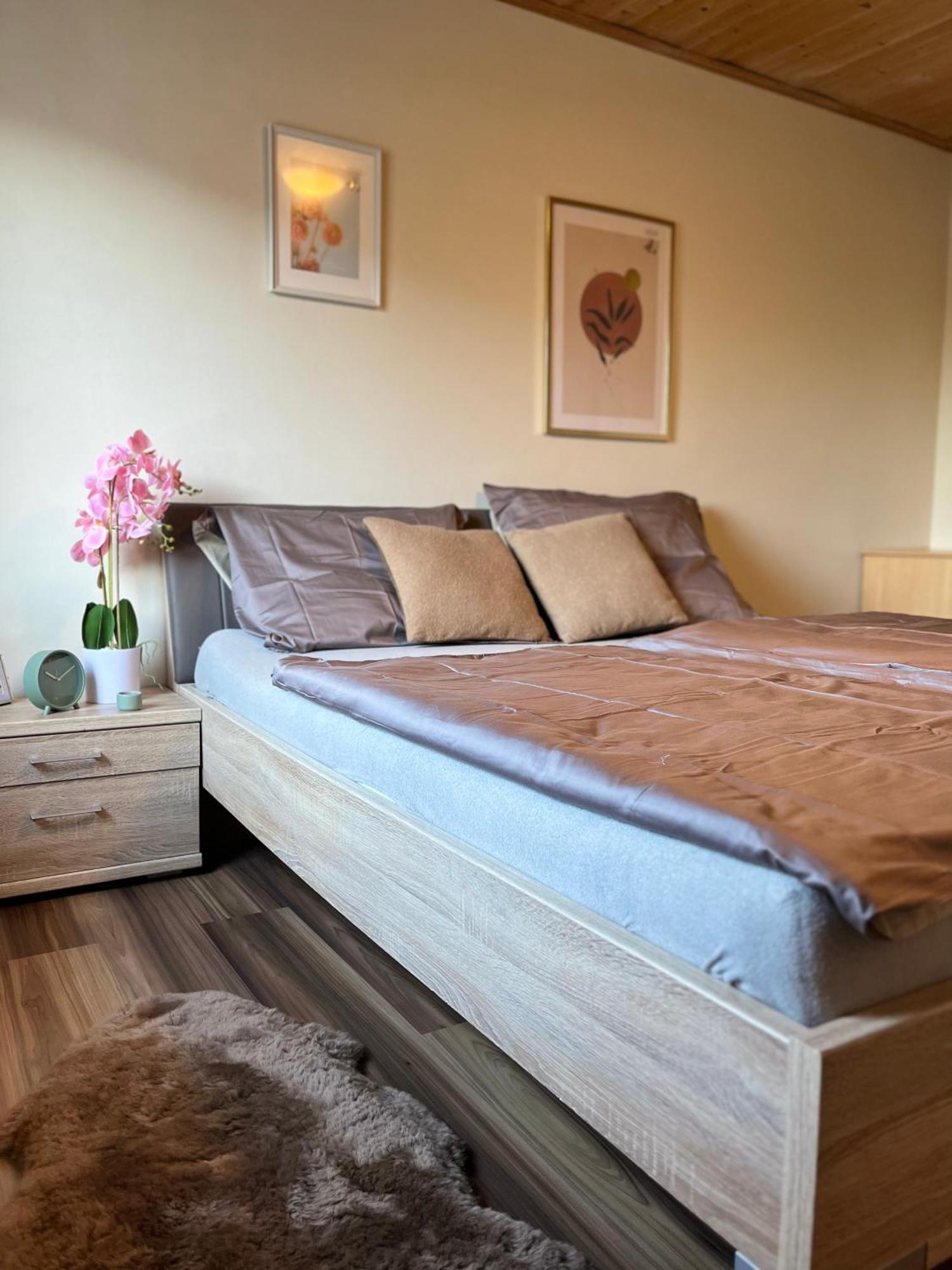 Apartment Gemuetliche Wohnung/ Cozy *