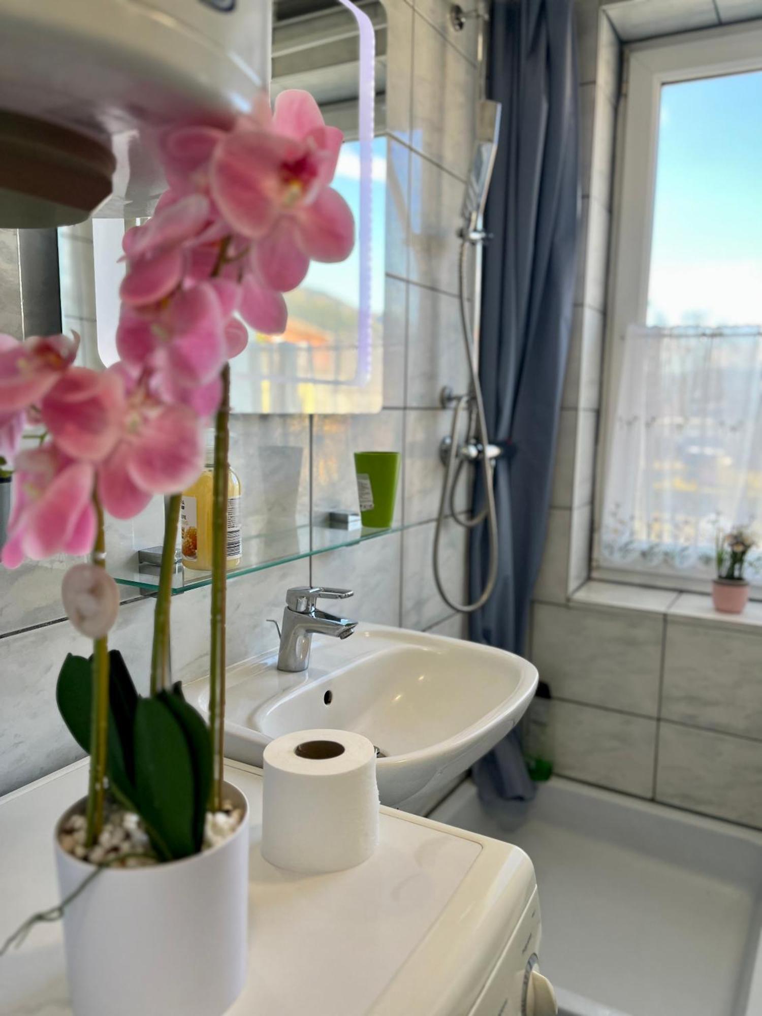 Gemuetliche Wohnung/ Cozy Apartment Niklasdorf